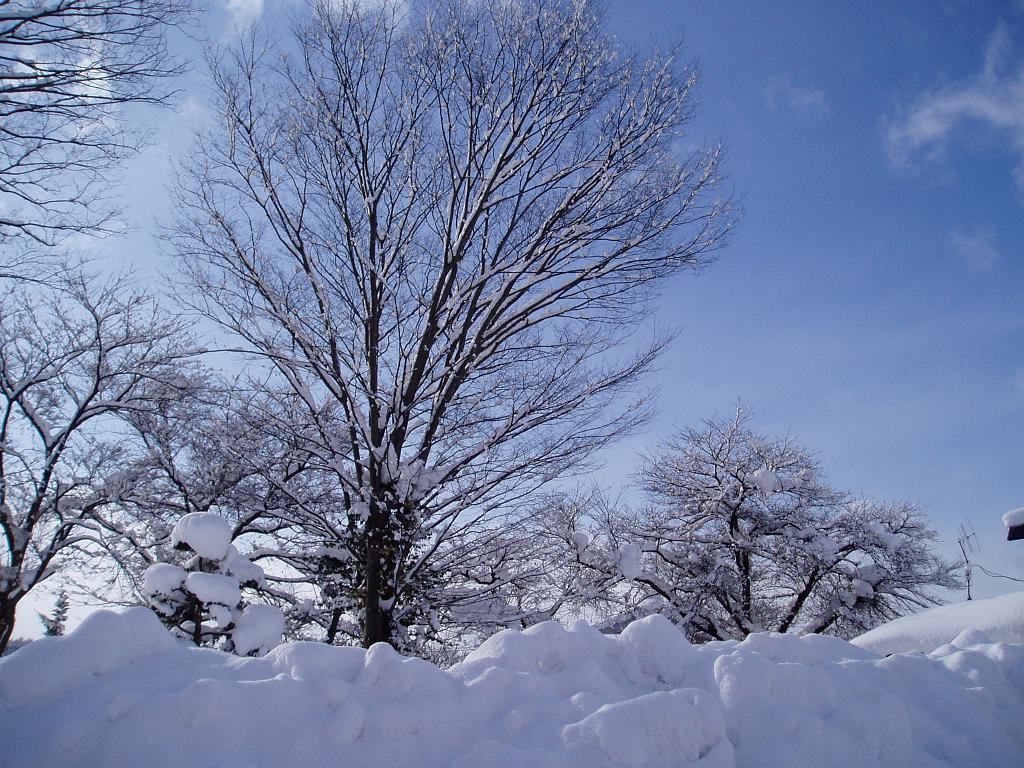 jpg/060107snow 002.JPG